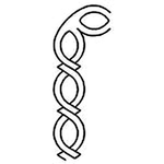 Quilting Creations 2" Cable Border quilting stencil - hand and machine quilting template