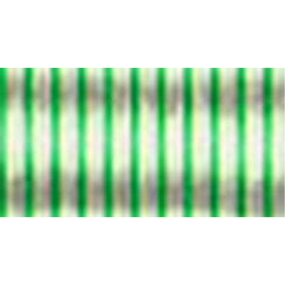 Robison & Anton Rayon embroidery thread spool in Light Green (2355) - 40wt 694m