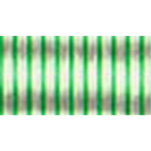 Robison & Anton Rayon embroidery thread spool in Light Green (2355) - 40wt 694m