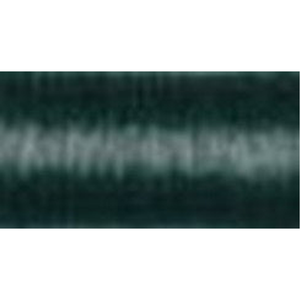 Robison & Anton Rayon embroidery thread spool in Green Sail (2459) - 40wt 1000m