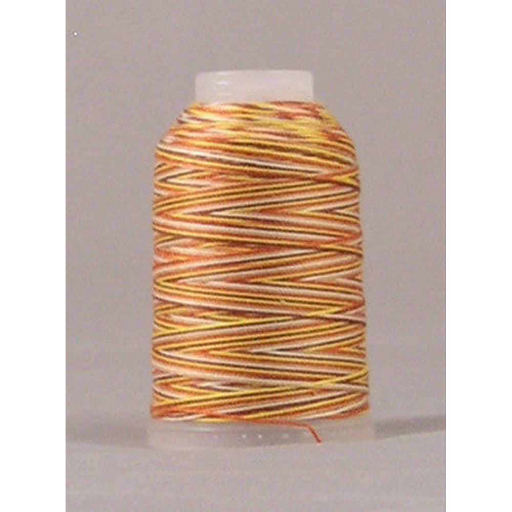 YLI embroidery thread spool shade 3 - 180m
