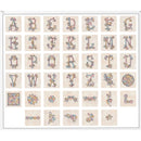 OESD Loop De Loop CD by Amanda Greene