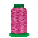 Amann Isacord Thread Multi 40wt 1000m 9923 Rasberries & Cream