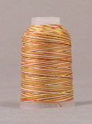 YLI Jeans Stitch Thread 180m Variegated 3