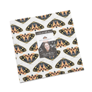 Moda Dwell In Possibility