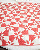 Accuquilt Go! Hunters Star  (6" Finished)