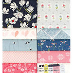 AGF Colormaster Designer Collection Ami Sinibaldi No.1