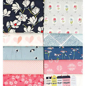 AGF Colormaster Designer Collection Ami Sinibaldi No.1