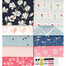 AGF Colormaster Designer Collection Ami Sinibaldi No.1