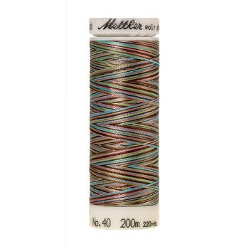 Mettler Polysheen Thread Multi 40wt 200m Teen Fashion 9972