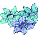 Bernina Foot 9 Darning Legacy Models