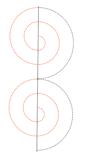 Quilter's Rule ¼" Nautilus Spiral Tool Pack of 1