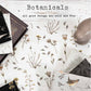 Botanicals patterned cotton quilting fabric by Moda