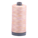 Aurifil Thread 28/2 750m Varigated Bari 4651