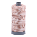 Aurifil Thread 28/2 750m Varigated Biscotti 4666