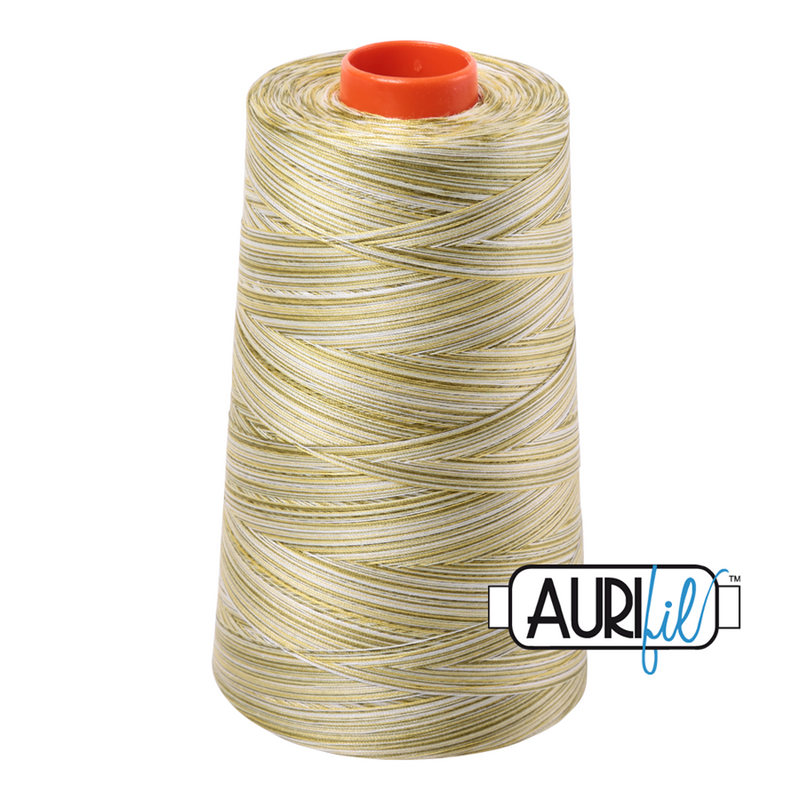 Aurifil Thread 50/2 5900m Variegated Spring Prairie 4653