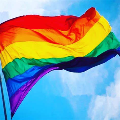 Moda Grunge Pride Celebration Rainbow Bundle