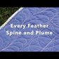 Amanda Murphy ¼" Every Feather Spine Template Pack of 1